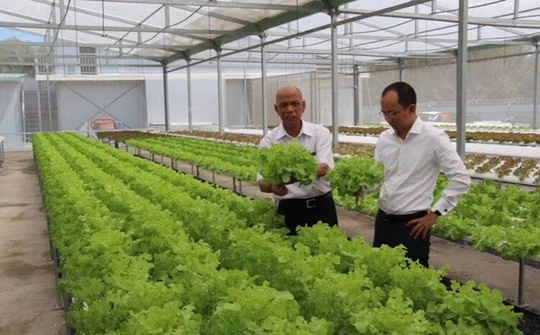 Diễn đàn Kinh tế Kiều bào toàn cầu lần thứ nhất: Kết nối mạng lưới doanh nhân Việt
