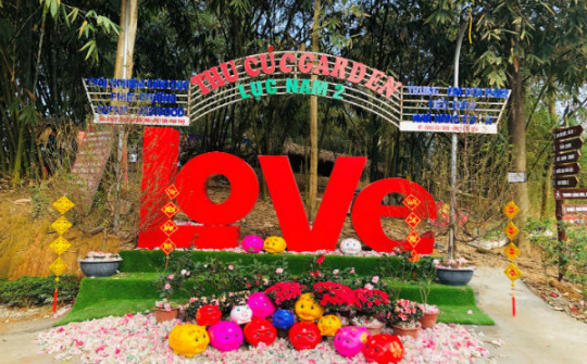 Phú Thọ: Thu Cúc Garden - Điểm du lịch lý tưởng không thể bỏ qua