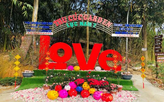 Phú Thọ: Thu Cúc Garden - Điểm du lịch lý tưởng không thể bỏ qua