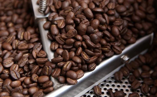 Cà phê Robusta Việt Nam đang chiếm lĩnh thị trường Nhật Bản