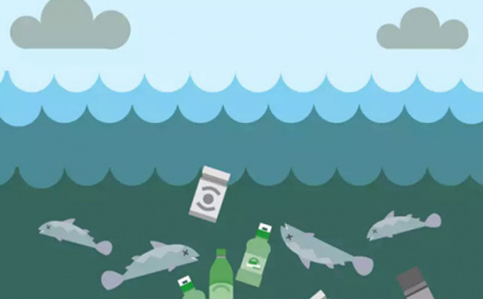 Khoảng 8 triệu tấn nhựa thải ra đại dương trên toàn cầu mỗi năm