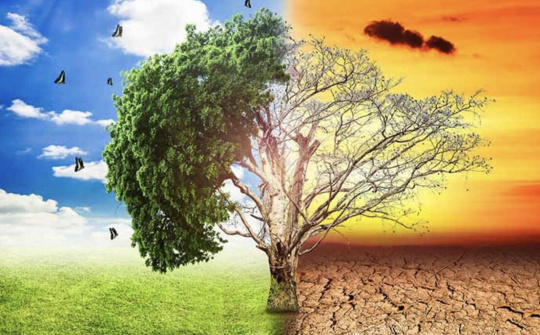 Tại sao nắng nóng kéo dài ở Việt Nam?