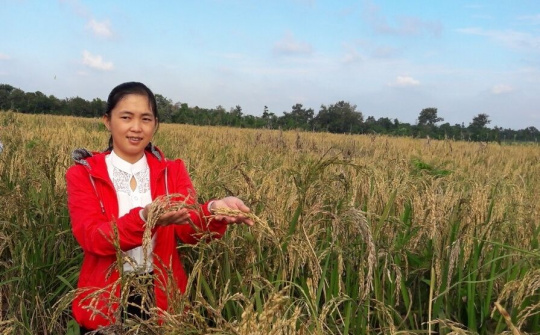 "Trái ngọt "từ lòng tận hiến của trí thức trẻ người Dao