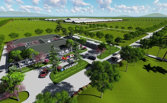 Dự án "Resort" bò sữa Organic quy mô 5000 ha tại Lào của Vinamilk - Thành quả của sự hợp tác Lào - Việt - Nhật