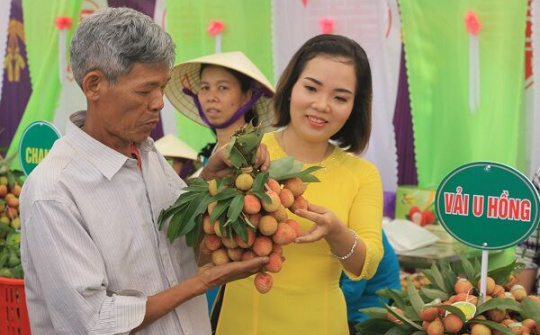 Tôn vinh sản vật Hải Dương thông qua lễ hội vải thiều Thanh Hà