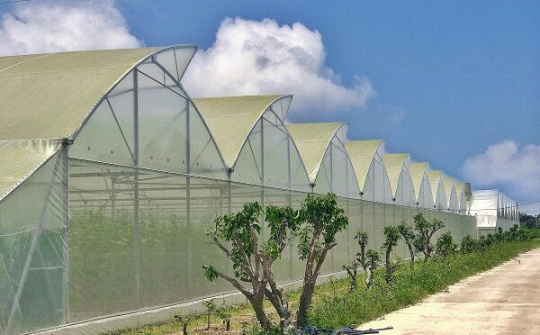 8x làm nông nghiệp công nghệ cao, mở ra hướng đi mới