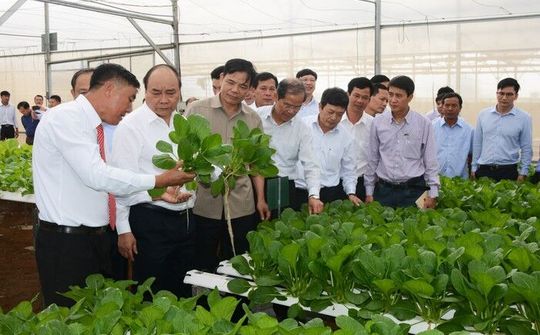 Thúc đẩy đầu tư hiệu quả để bứt phá