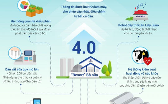 "Cách mạng 4.0" trong chăn nuôi bò sữa