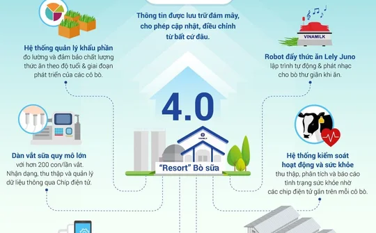 "Cách mạng 4.0" trong chăn nuôi bò sữa