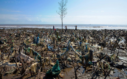 Thủ tướng kêu gọi cả nước chung tay giải quyết vấn đề rác thải nhựa