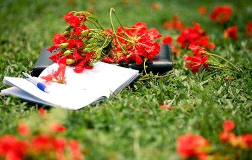 Từng mùa hạ đi qua