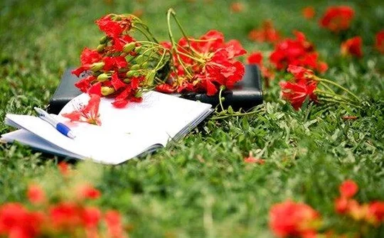 Từng mùa hạ đi qua