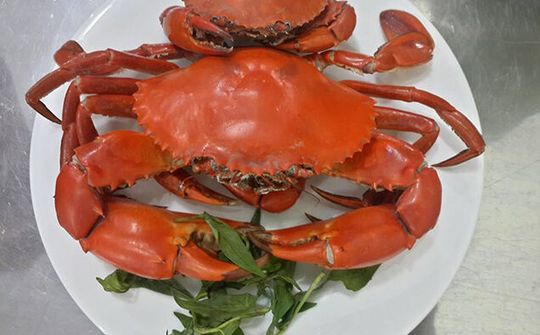 Cua Cà Mau - Đặc sản ngon nức tiếng