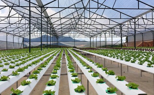 Diễn đàn phát triển doanh nghiệp công nghệ lần đầu được tổ chức