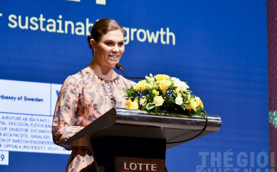 Diễn đàn Doanh nghiệp Việt Nam - Thụy Điển