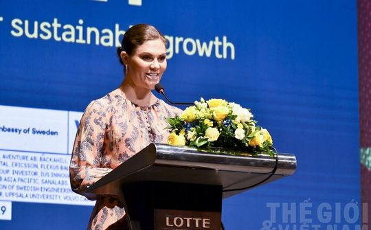Diễn đàn Doanh nghiệp Việt Nam - Thụy Điển