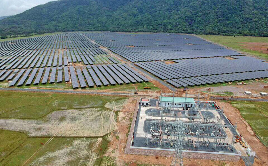 Tập đoàn Sao Mai - Tiên phong trong ngành điện năng lượng mặt trời