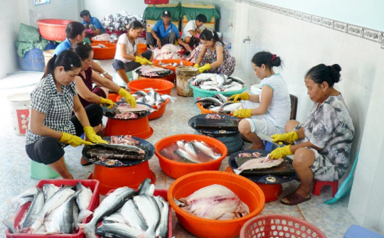 Năm 2019:  Ngành Thủy sản Việt Nam vượt "rào cản"