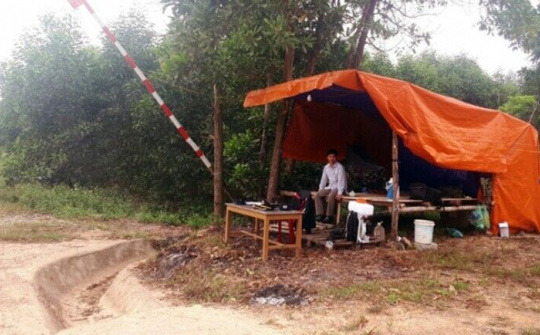 Chuyện hiếm gặp giữa ban ngày