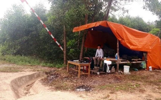 Chuyện hiếm gặp giữa ban ngày