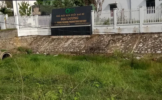 Tĩnh Gia: Vì sao Nhà máy sản xuất Bao bì Đại Dương xem thường quyền lợi của người dân?
