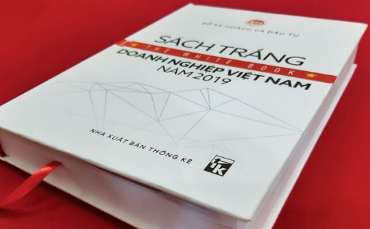 Sách trắng doanh nghiệp: Cơ hội để đánh giá lại sự phát triển