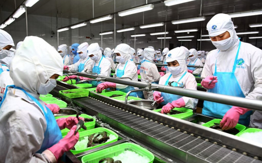 Cắt giảm giấy phép: Nói đi đôi với làm