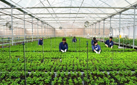 Thúc đẩy doanh nghiệp đầu tư vào nông nghiệp