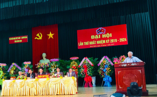 Hội Hữu nghị Việt Nam - Campuchia tỉnh Bình Định: Tổ chức Đại hồi lần thứ I (2019 - 2024)