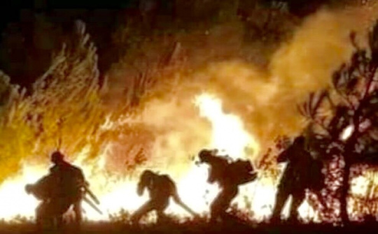 Vụ cháy rừng ở Hà Tĩnh: Bài học đắt giá!