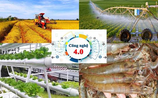 Việt Nam sẽ là một trong số 15 nước có nền nông nghiệp phát triển nhất Thế giới đến năm 2030