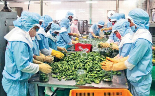 Tuân thủ quy tắc xuất xứ để hội nhập 'sân chơi' thế giới