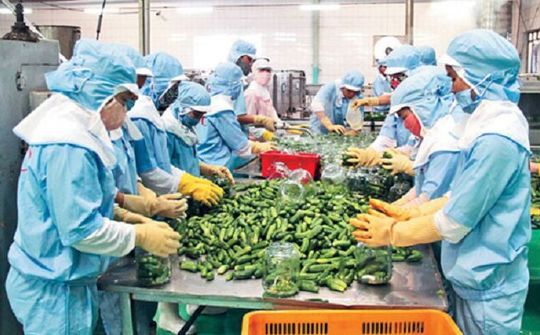 Tuân thủ quy tắc xuất xứ để hội nhập 'sân chơi' thế giới