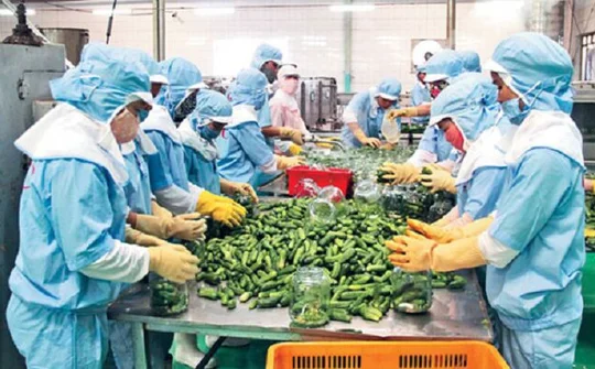 Tuân thủ quy tắc xuất xứ để hội nhập 'sân chơi' thế giới