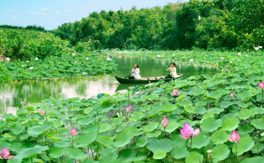 Câu chuyện nghệ thuật