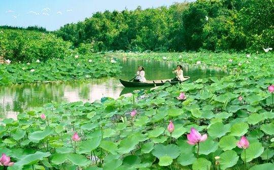 Câu chuyện nghệ thuật