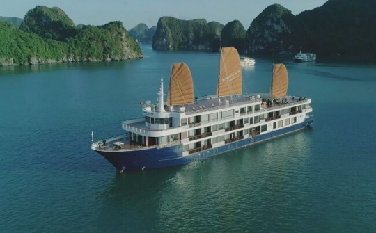 Trải nghiệm đích thực Hạ Long cùng Sealife Group