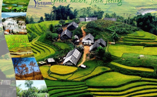 Gần 9,8 triệu lượt khách quốc tế đến Việt Nam trong 7 tháng đầu năm 2019