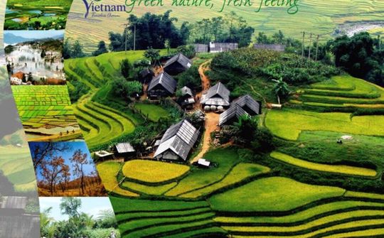 Gần 9,8 triệu lượt khách quốc tế đến Việt Nam trong 7 tháng đầu năm 2019