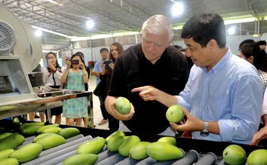 Tạo đà để hàng Việt vươn xa