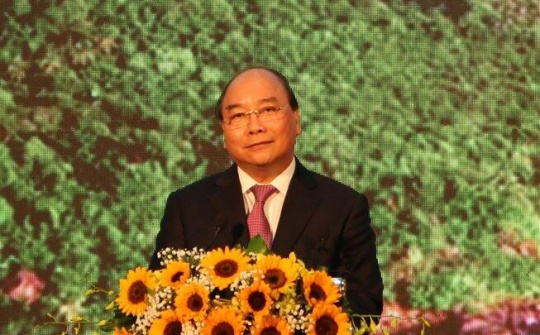 Thủ tướng: Không được 'bê tông hóa' Phú Quốc