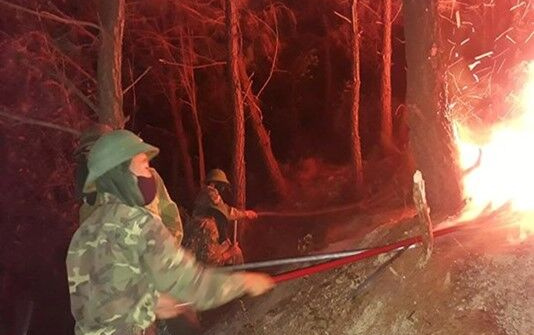 Nghệ An: Khó xử lý người gây cháy rừng.