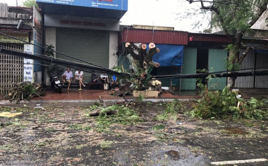 Hải Phòng: Quận Đồ Sơn khẩn trương khắc phục hậu quả cơn bão số 2