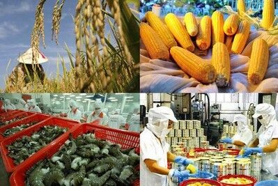 Nông sản Việt có cơ hội cất cánh trong CPTPP?
