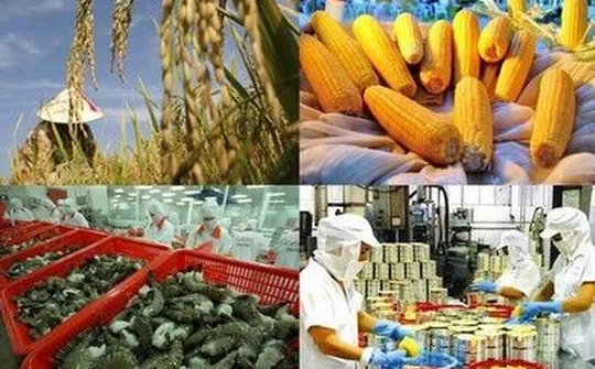 Nông sản Việt có cơ hội cất cánh trong CPTPP?