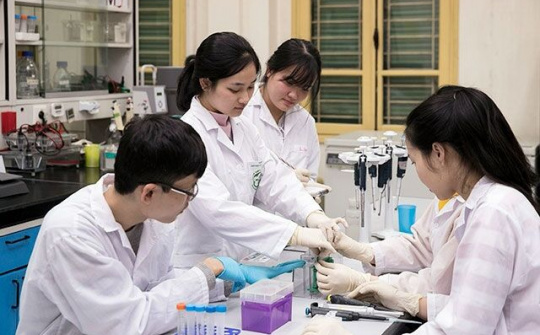 Quy hoạch, sắp xếp lại hệ thống cơ sở đào tạo