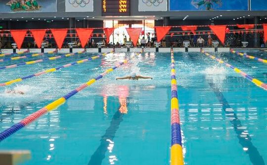 Thanh Hóa tổ chức thành công Giải bơi lặn vô địch các CLB quốc gia khu vực 1 Cúp Sun Sport Complex