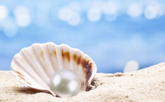 “Truy lùng” các thành phần mỹ phẩm đang hot rần rần trong giới làm đẹp của chị em