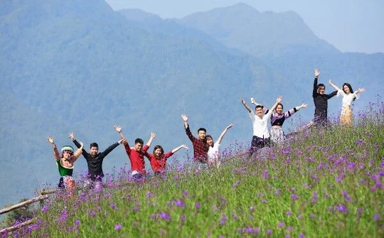 Những hạnh phúc nảy mầm nơi đỉnh trời Fansipan