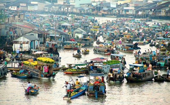 More than US$22 bln in FDI poured into Mekong Delta